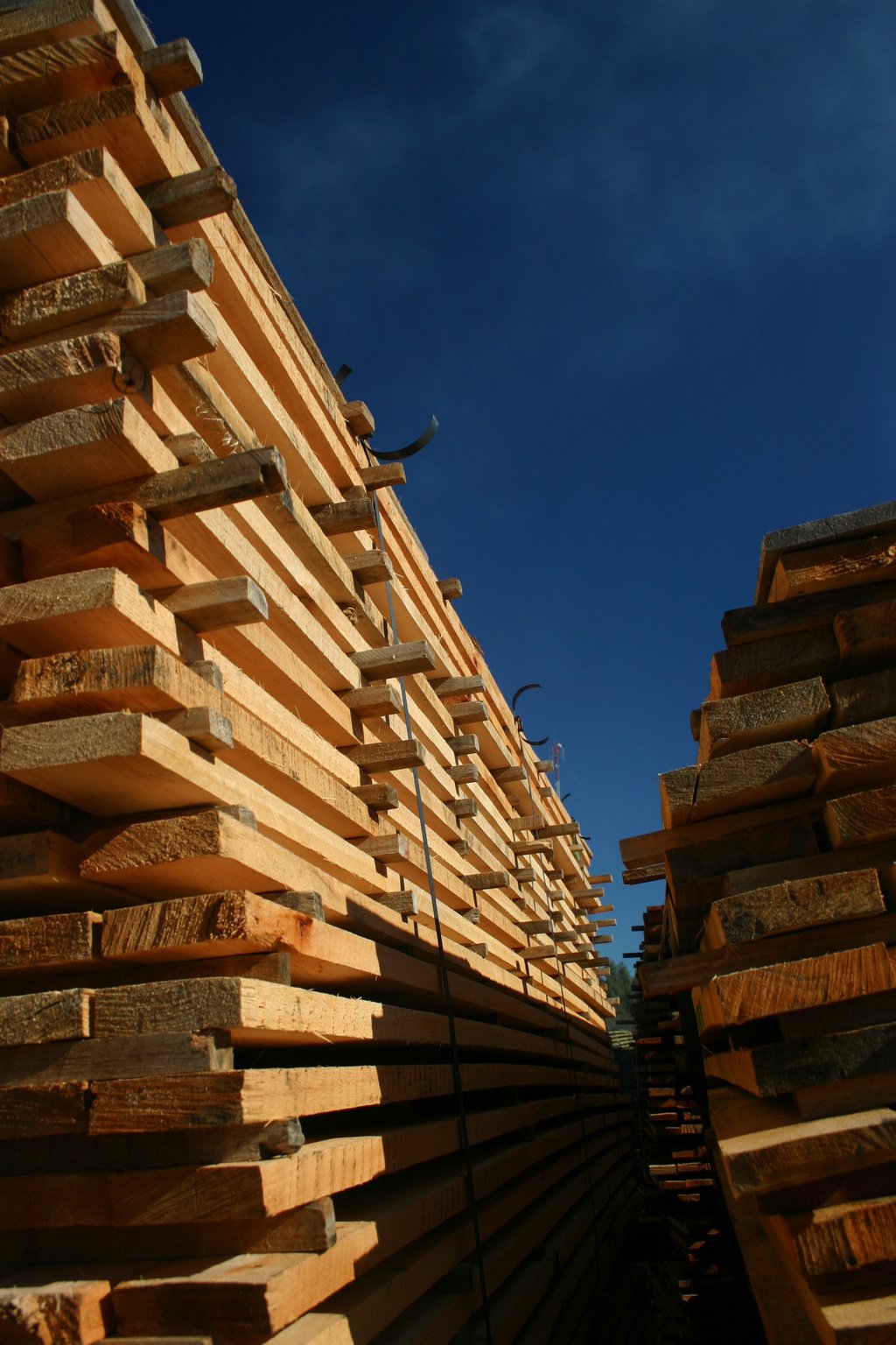 stack of timber