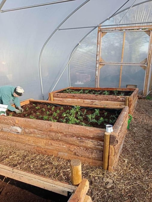 a polytunnel with wooden raised beds