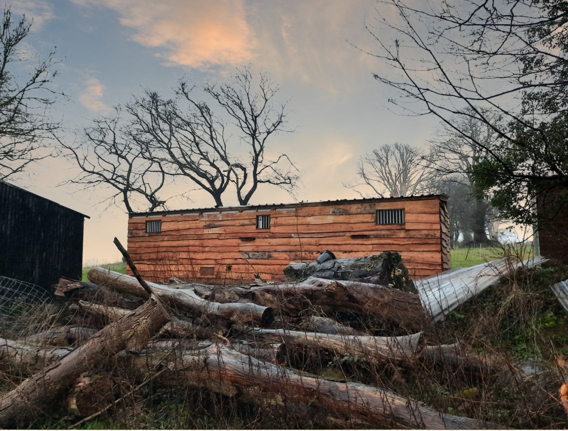 a wood clad shed