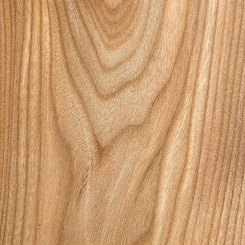 elm wood grain