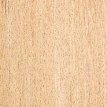 beech wood grain