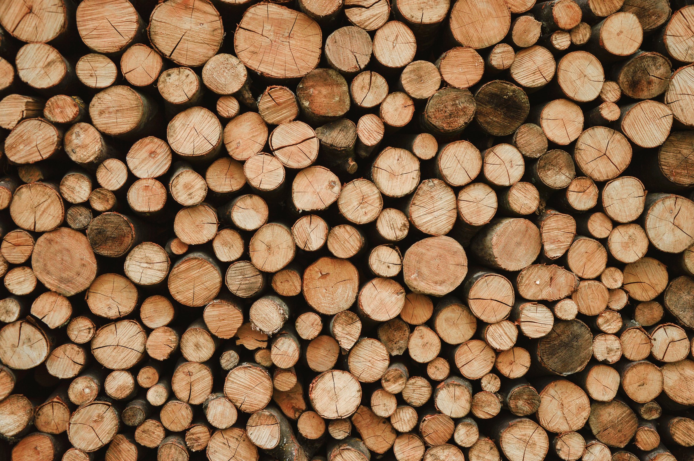 Piled Up Wood Logs 